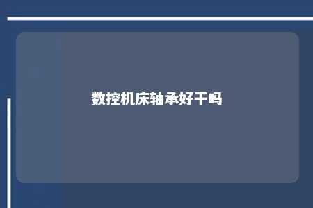 数控机床轴承好干吗 
