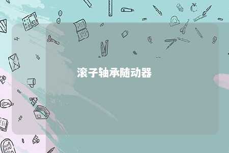 滚子轴承随动器 