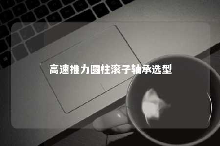 高速推力圆柱滚子轴承选型 